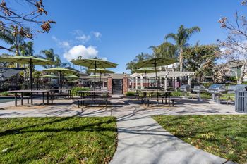 Bbq/picnic area